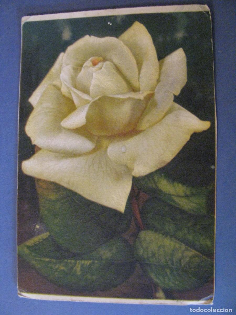 Postkarten: ANTIGUA POSTAL DIBUJO. FLORES. ALEMANIA. ESCRITA