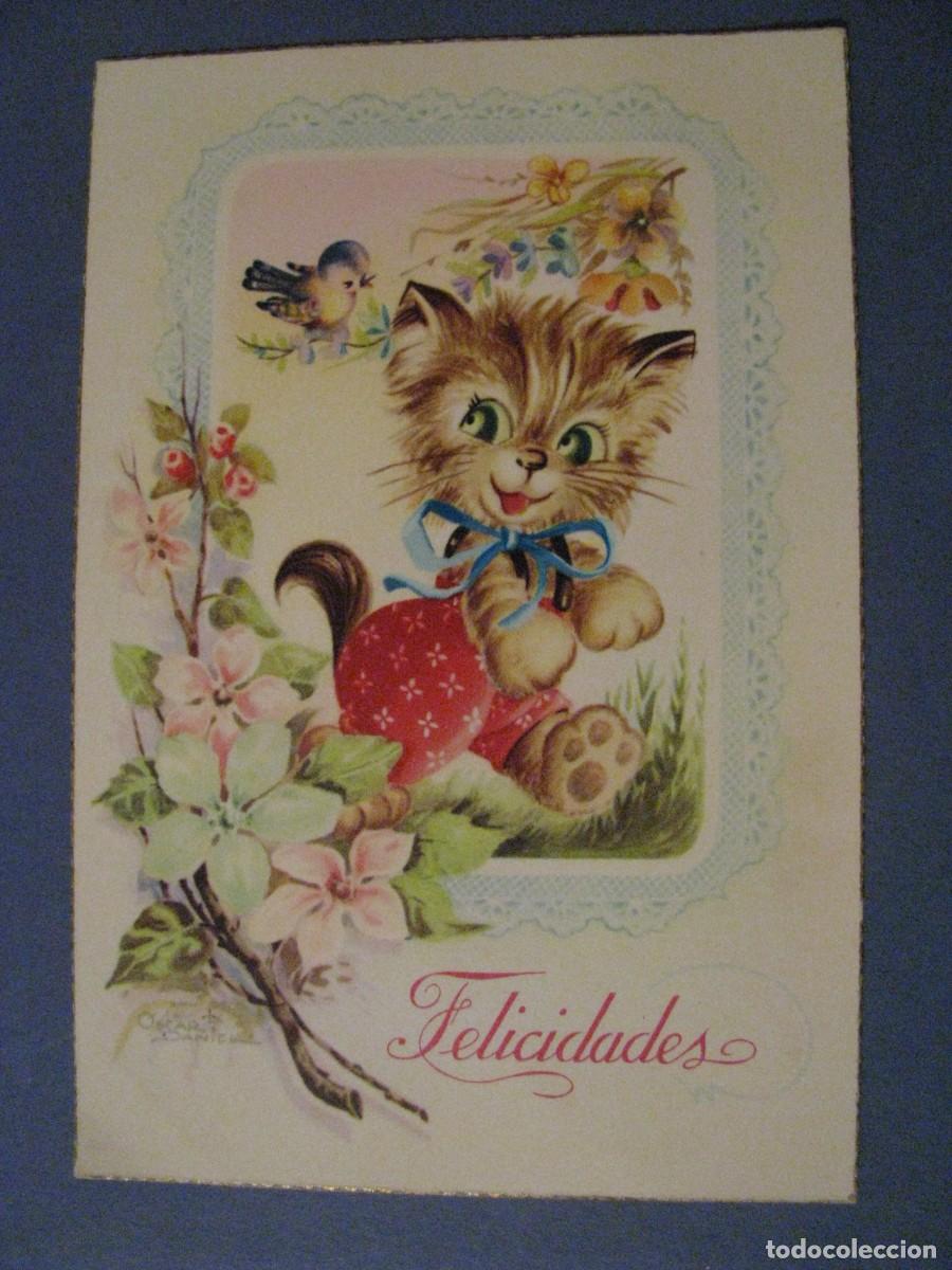 Cartes Postales: POSTAL DE IL. OSCAR DANIEL. C. Y Z. 505/A. DESPEGADA.