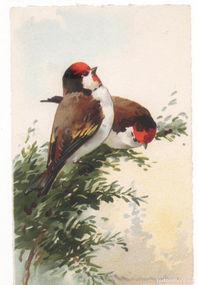 Cartoline: Postal Belga-Principios del siglo XX-circulada-