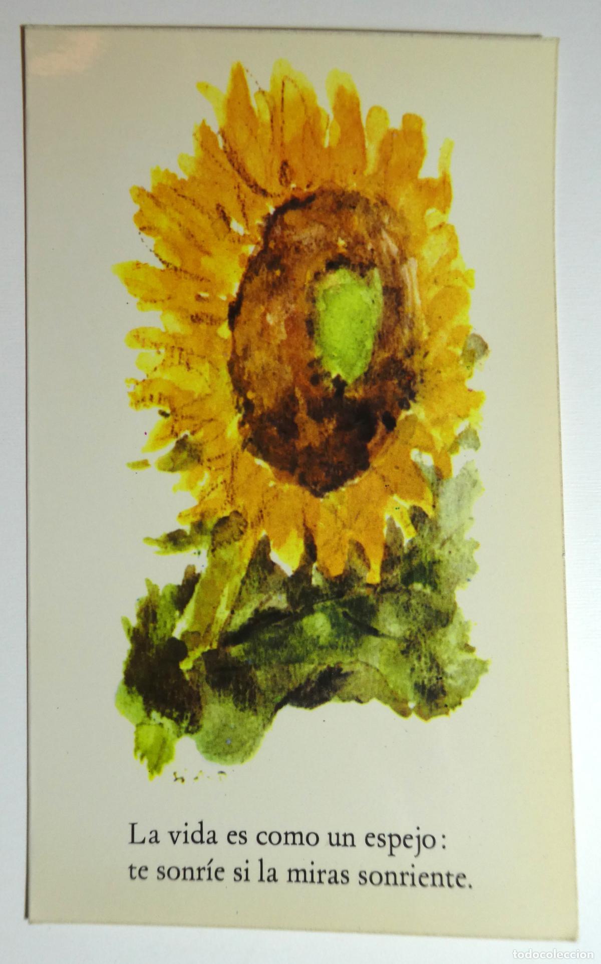 Cartes Postales: Postal doble serie Alegria 1981 nueva