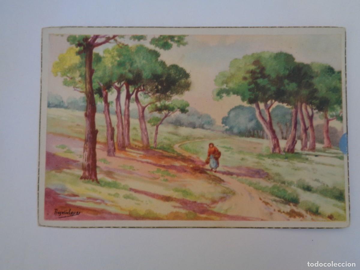 Cartoline: POSTAL SERIE PAISAJE CON BONITO DIBUJO DE CAMPO CON PINOS . A&Ntilde;OS 40