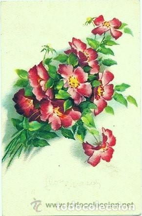 Postais: 8834 - PRECIOSA POSTAL- EDITORIAL CECAMI N&ordm;1126- IMPRESA EN ITALIA