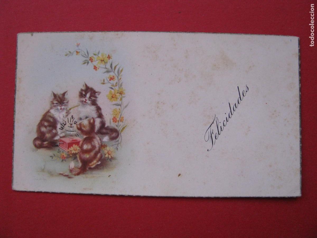 Cartes Postales: PEQUE&Ntilde;A TARJETA DE IL. M.R.G. JBR 104. FELICIDADES, GATOS. 11,5X6,5 CM. ESCRITA.