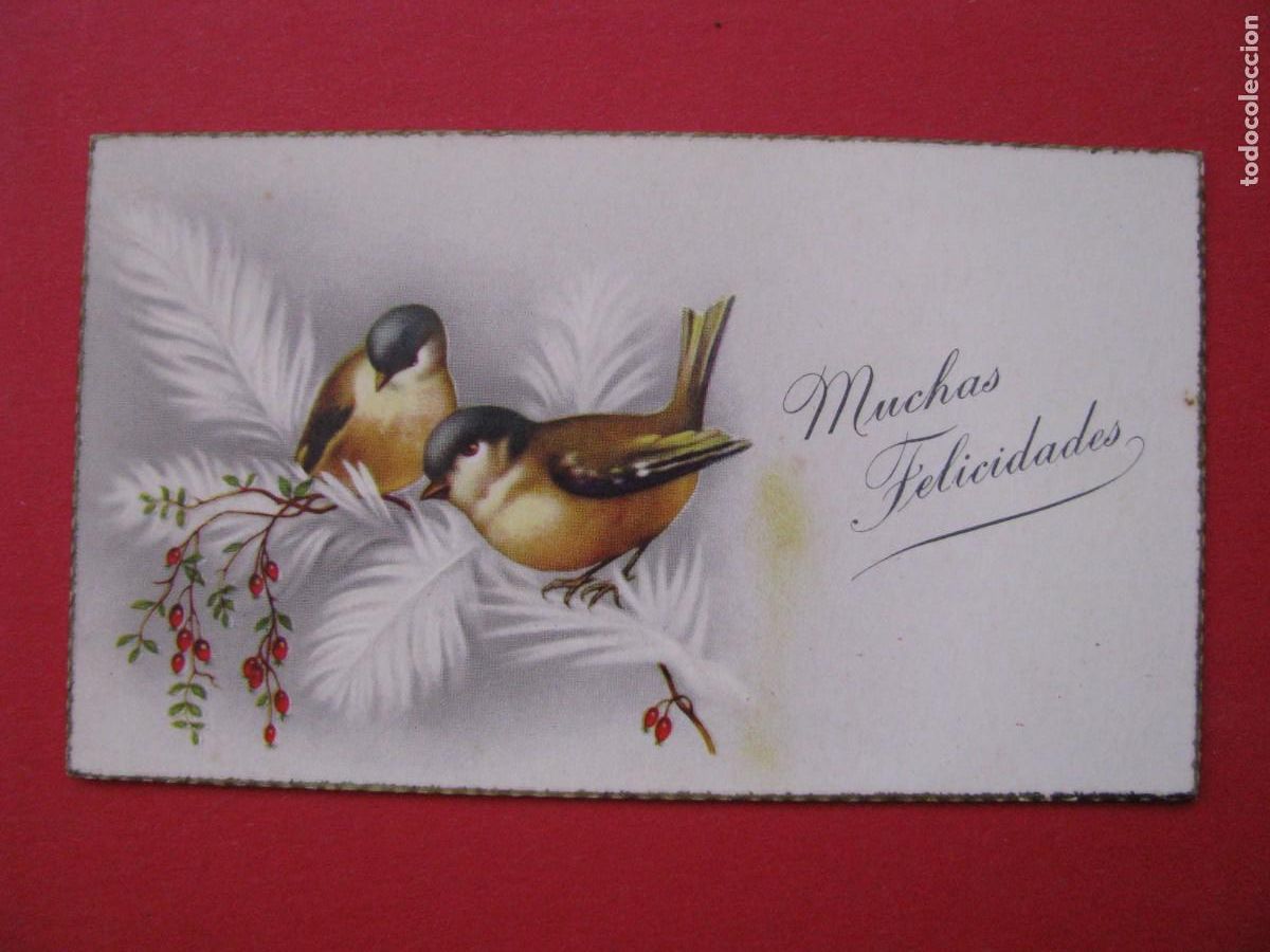 Postais: PEQUE&Ntilde;A TARJETA DE IL? MUCHAS FELICIDADES. C. Y Z. 553. 10,5X6 CM. ESCRITA.