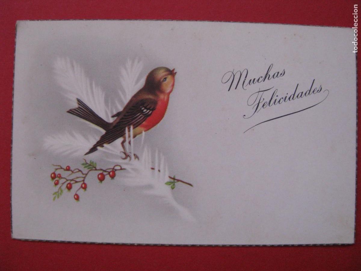 Postais: POSTAL DE ED. C. Y Z. 553. MUCHAS FELICIDADES. ESCRITA.