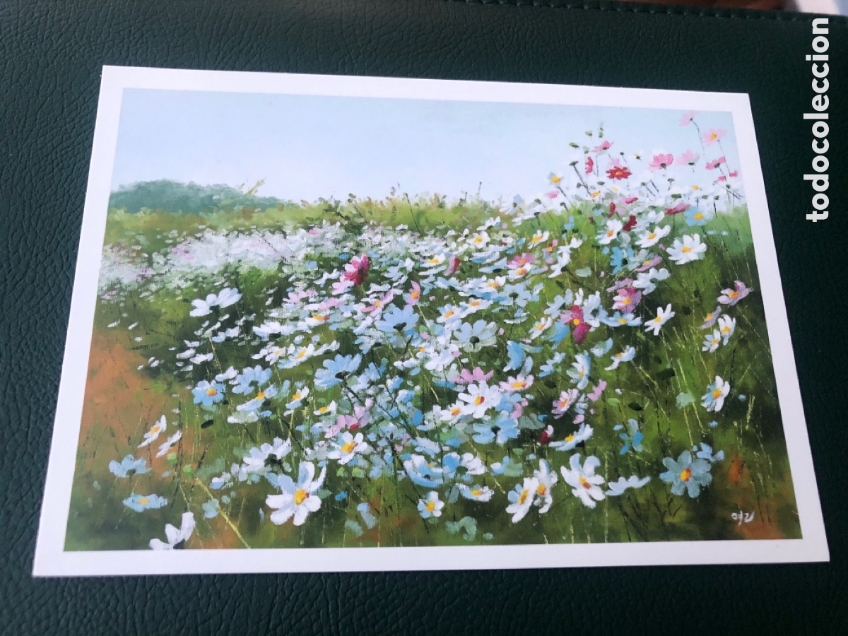 Cartoline: Postal campo de flores. Asociaci&oacute;n pintores con la boca y con el pie. Sin circular. ASM