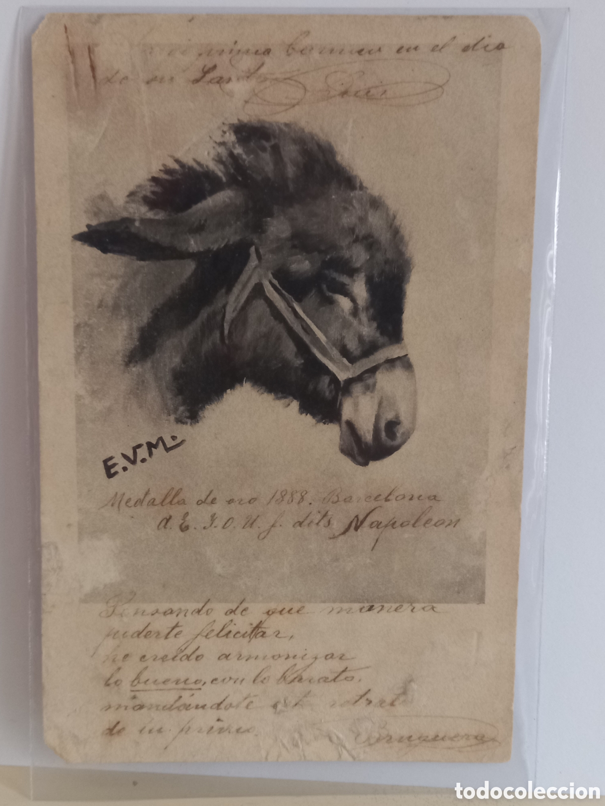 Postcards: Postal ilustrada con burrito o asno. Circulada