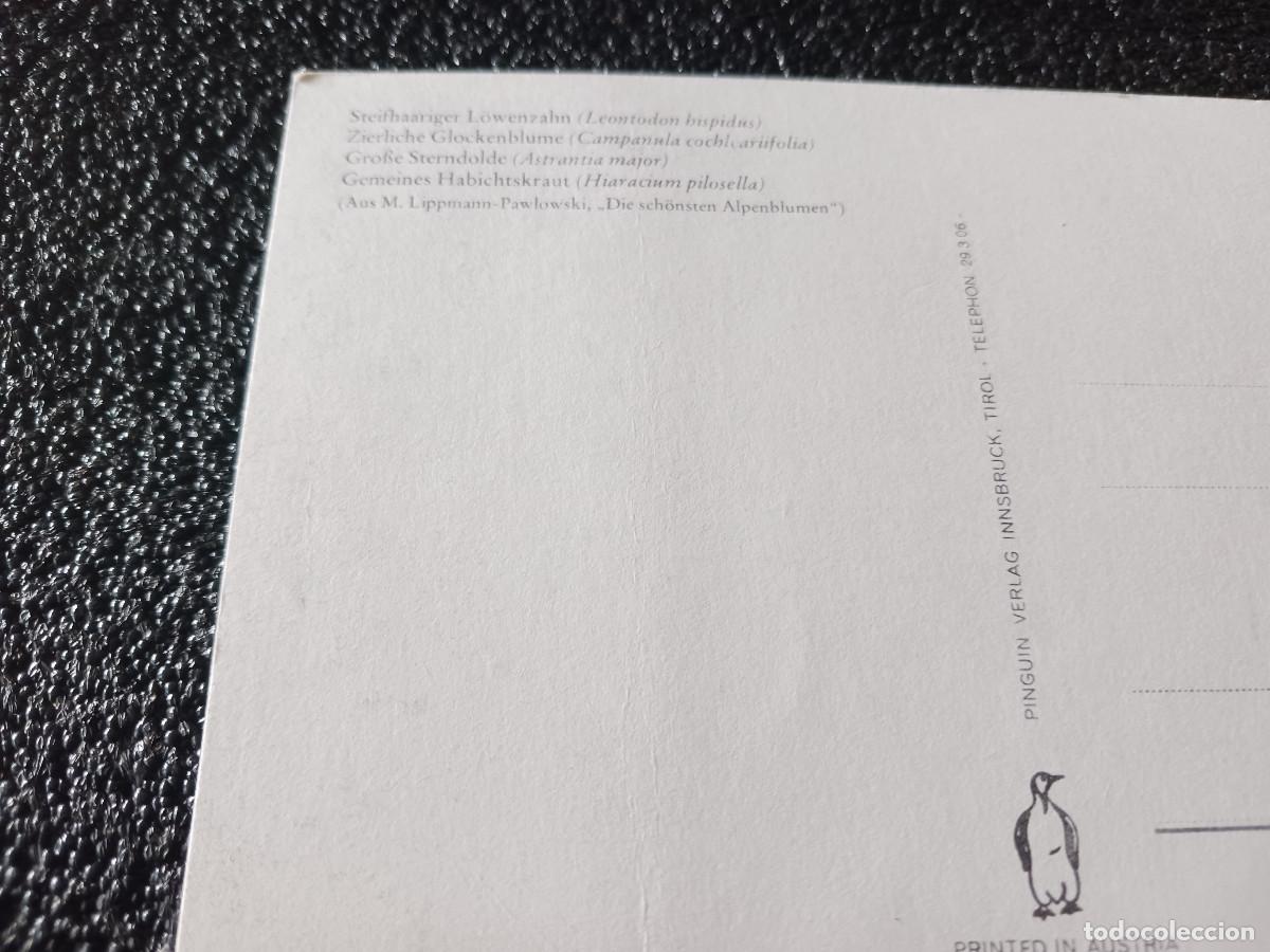 Postales: leontodon hispidus, ed. pinguin - Foto 2