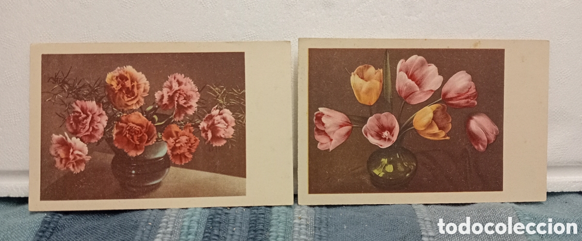 Postais: CARTE POSTALE - POST CARD. CONJUNTO DE CARTAS POSTALES. FLORES. ALEMANIA