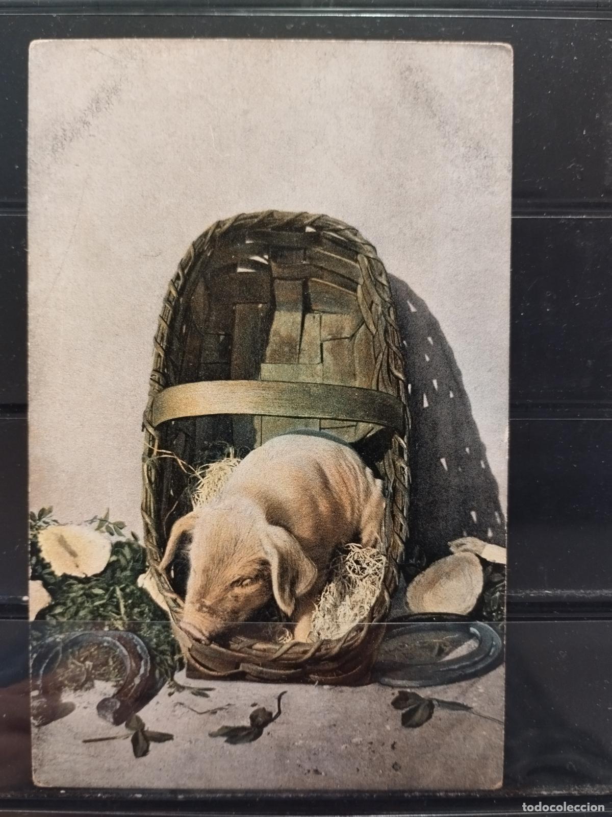 Postais: CERDO. HERRADURA DE LA SUERTE. SETAS. TREBOL CUATRO HOJAS. A&Ntilde;O NUEVO. SIN CIRCULAR