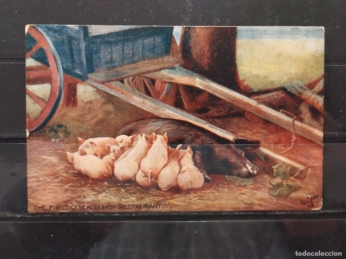 Postais: CERDA AMAMANTADO LOS CERDITOS. EL PRIMER RESTAURANTE DE ALMUERZO RAPIDO. PUBLICIDAD