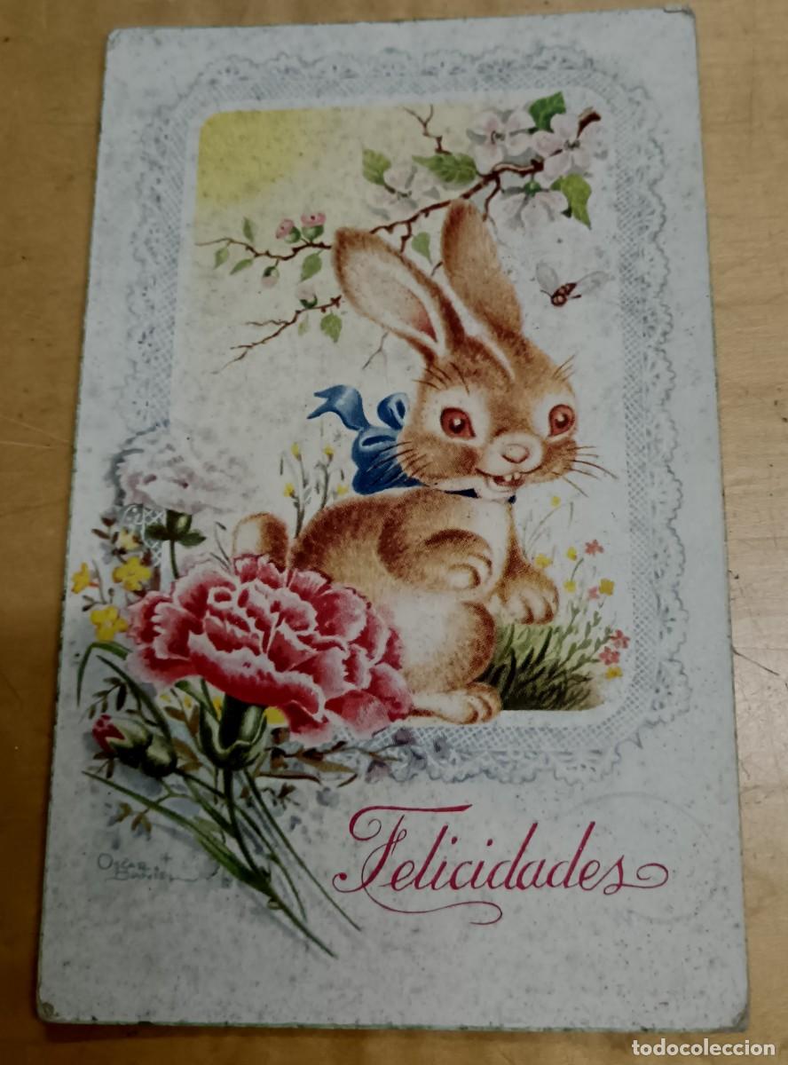 Postcards: POSTAL FELICITACI&Oacute;N ILUSTRADA POR &Oacute;SCAR DANIEL CYZ N&ordm; 505/A 13,5X9 CM. SIN ESCRIBIR