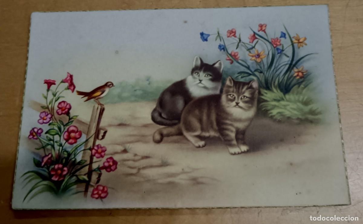 Postcards: POSTAL CON MOTIVO FLORAL Y GATITOS CYZ N&ordm; 563 13,5X9 CM. SIN ESCRIBIR