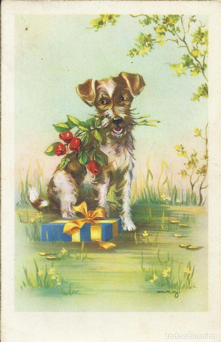 Postcards: Perro con rosas y regalo. Ilustraci&oacute;n. M. R. G. 14x9 cm. Escrita. J. B. R. 208. 1958.