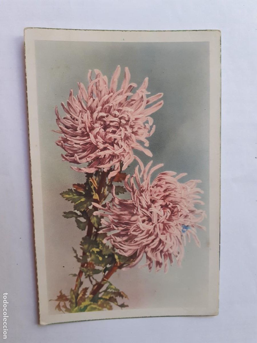 Cartoline: POSTAL FELICIDADES FLORES - ED. CYZ 528 - ESCRITA 1952
