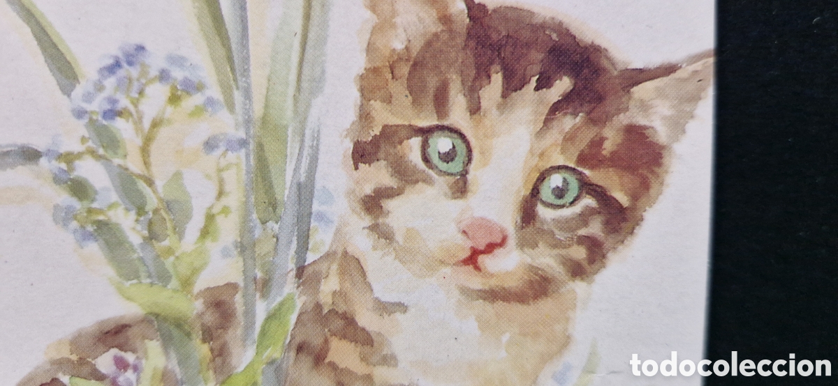 Postales: Preciosa postal. Diptico. Escrita. Gato