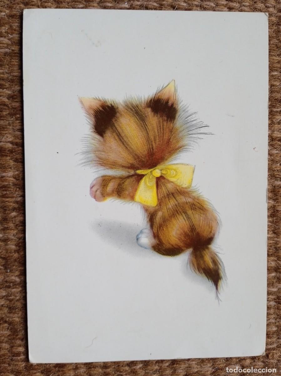 Postales: GATO DE ESPALDAS...... - Foto 1