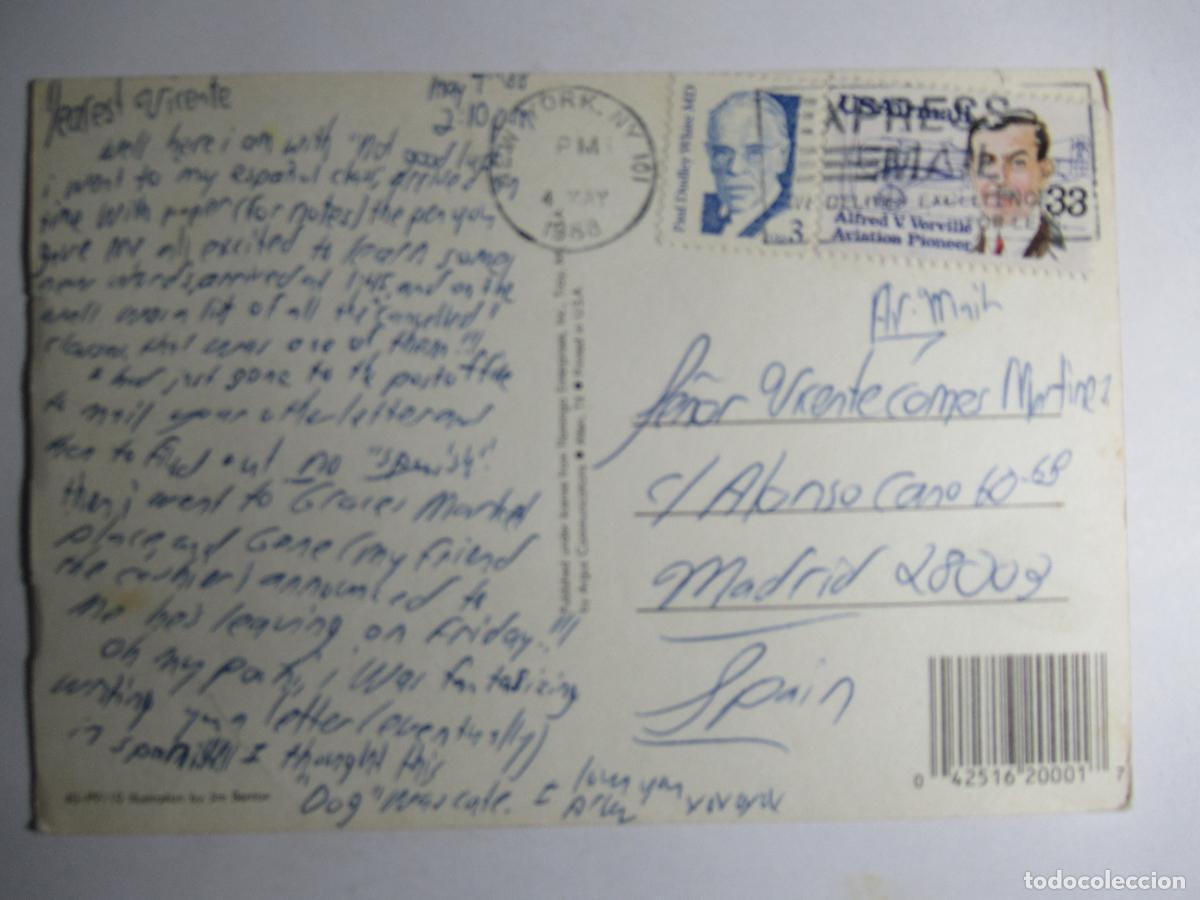 Postales: Perrito - Circulada USA - Foto 2