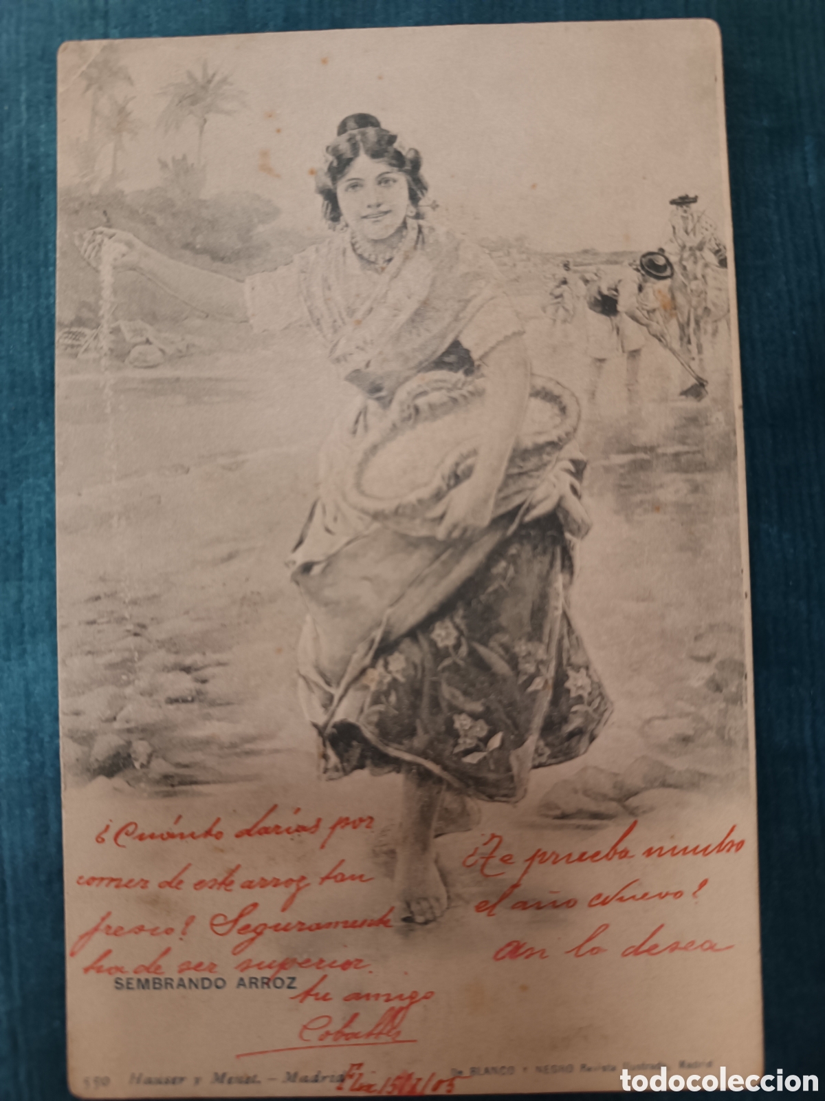 Postales: SEMBRANDO ARROZ. 1905