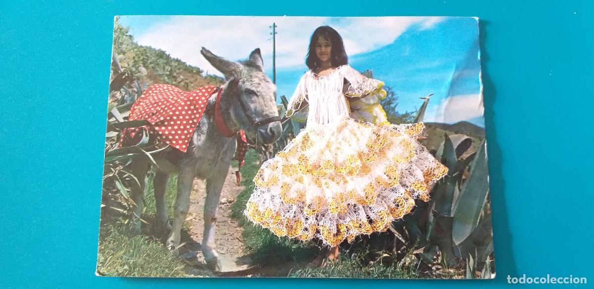 Cartoline: POSTAL FOTOGRAFICA ni&ntilde;a con burro. En Traje de FLAMENCO. TRAJE de encaje y BORDADO. CIRCULADA.