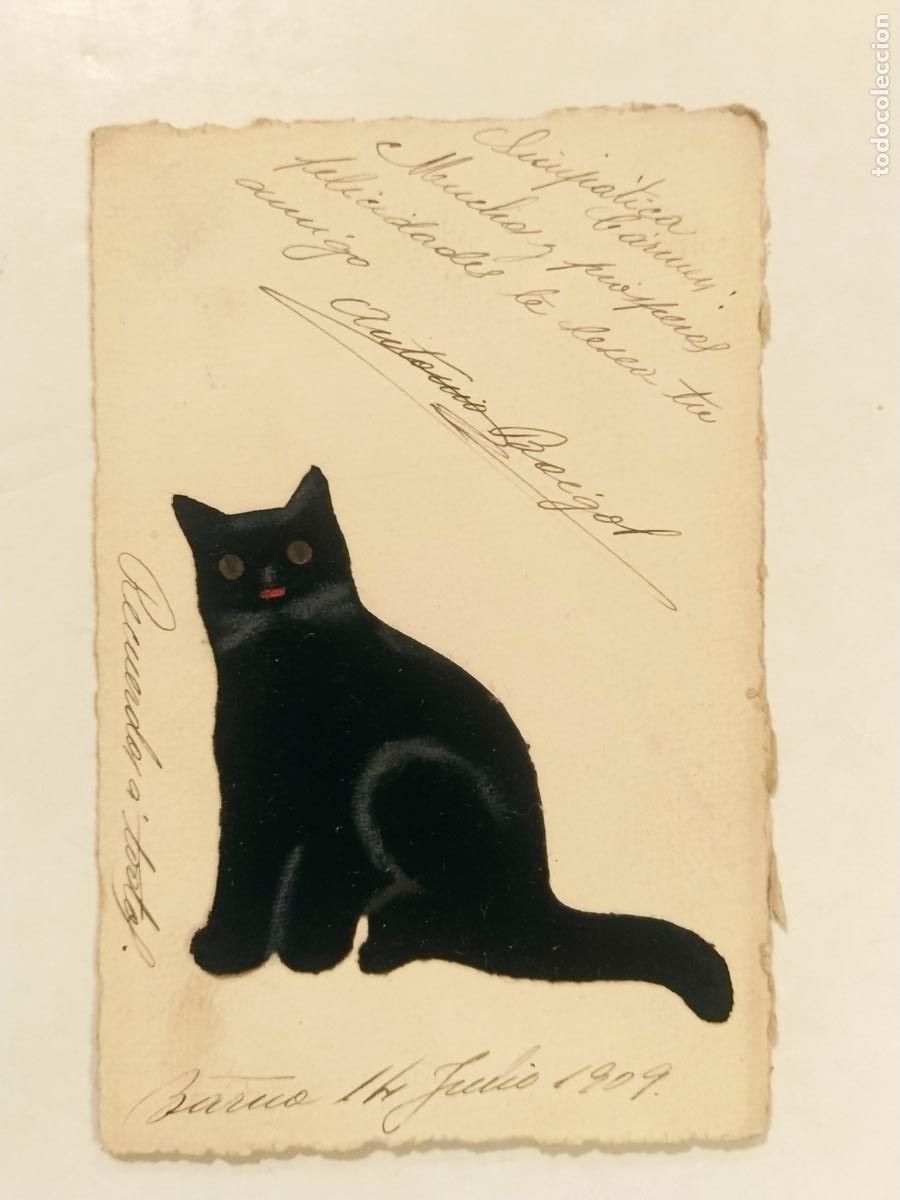 Cartes Postales: GATO DE TERCIOPELO - CIRCULADA A&Ntilde;O 1909 - POSTAL ANTIGUA - (114.388)