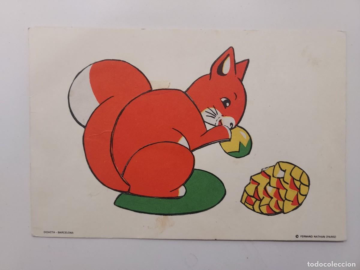 Postkarten: POSTAL ILUSTRADOR FERNANDO NATHAN (PARIS). ARDILLA COMIENDO UNA BELLOTA. DIDACTA 1968