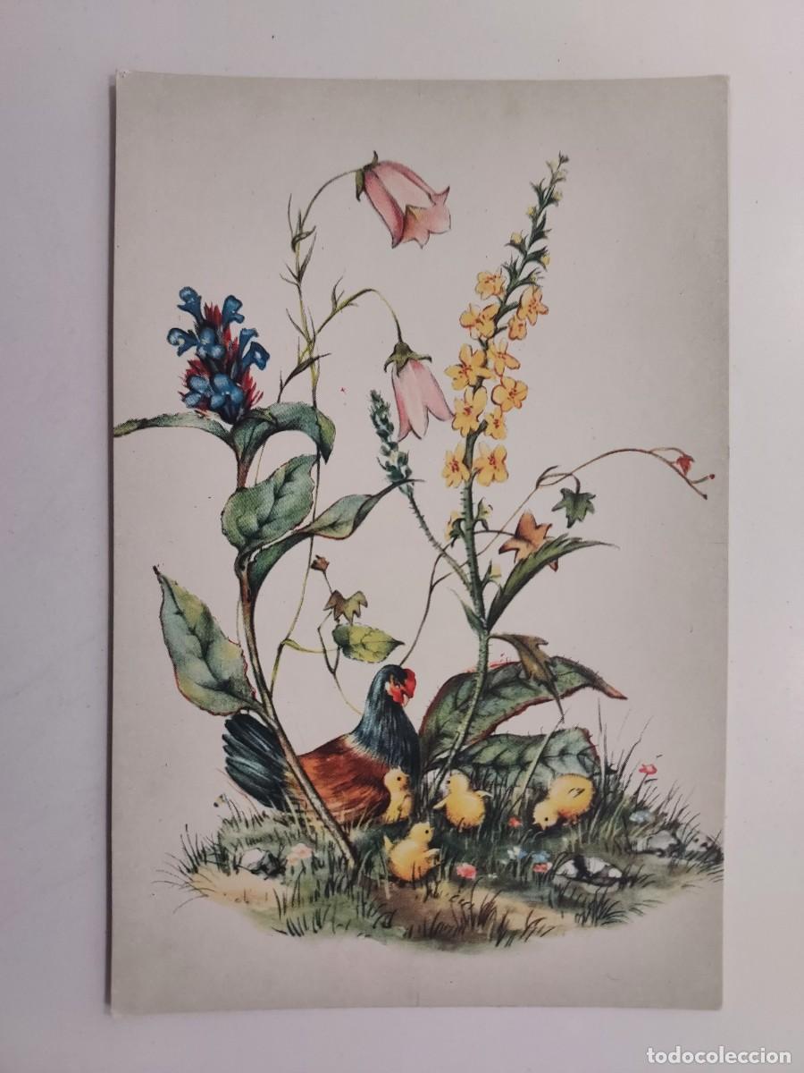 Postais: POSTAL ILUSTRADA. TIPO BOTANICO VINTAGE, FLORES, GALLINA POLLITOS. SIN CIRCULAR