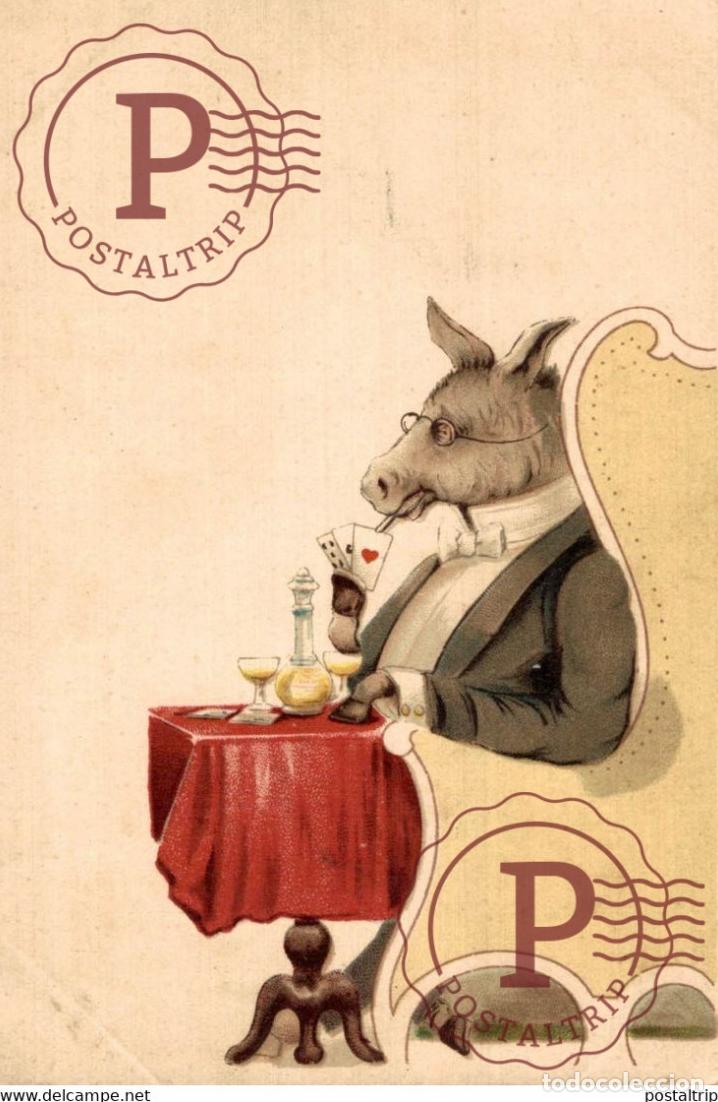 Postais: ANE DONKEY EZEL ESEL MULES donkeycollection