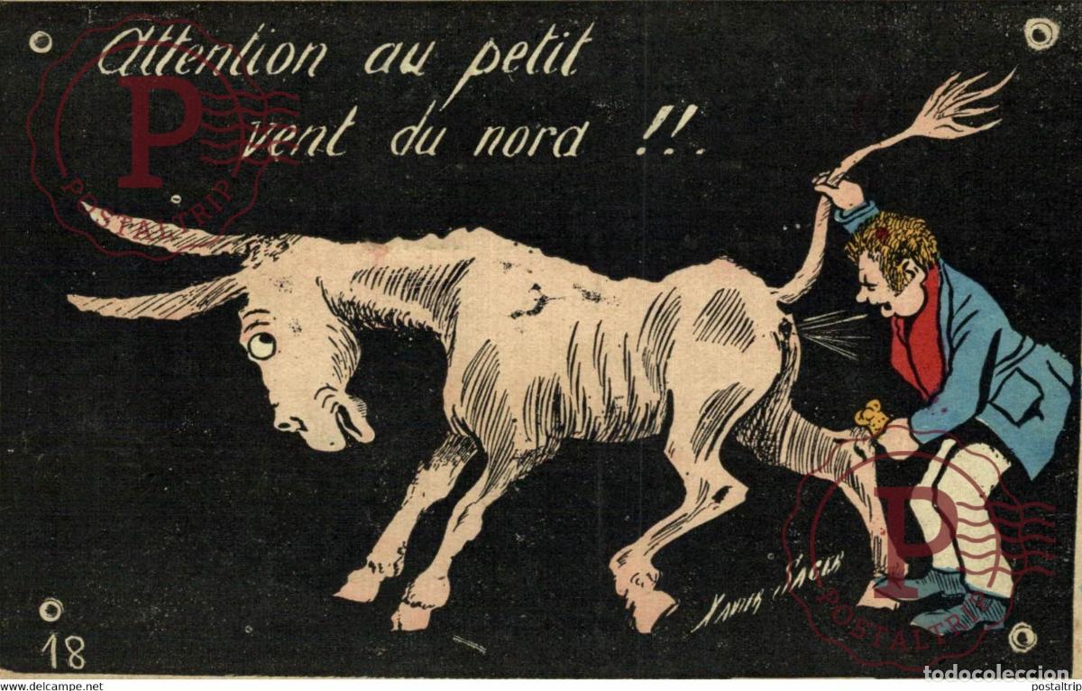 Postais: Attention au petit vent du nord !! XAVIER SAGER ANE DONKEY EZEL ESEL MULES donkeycollection
