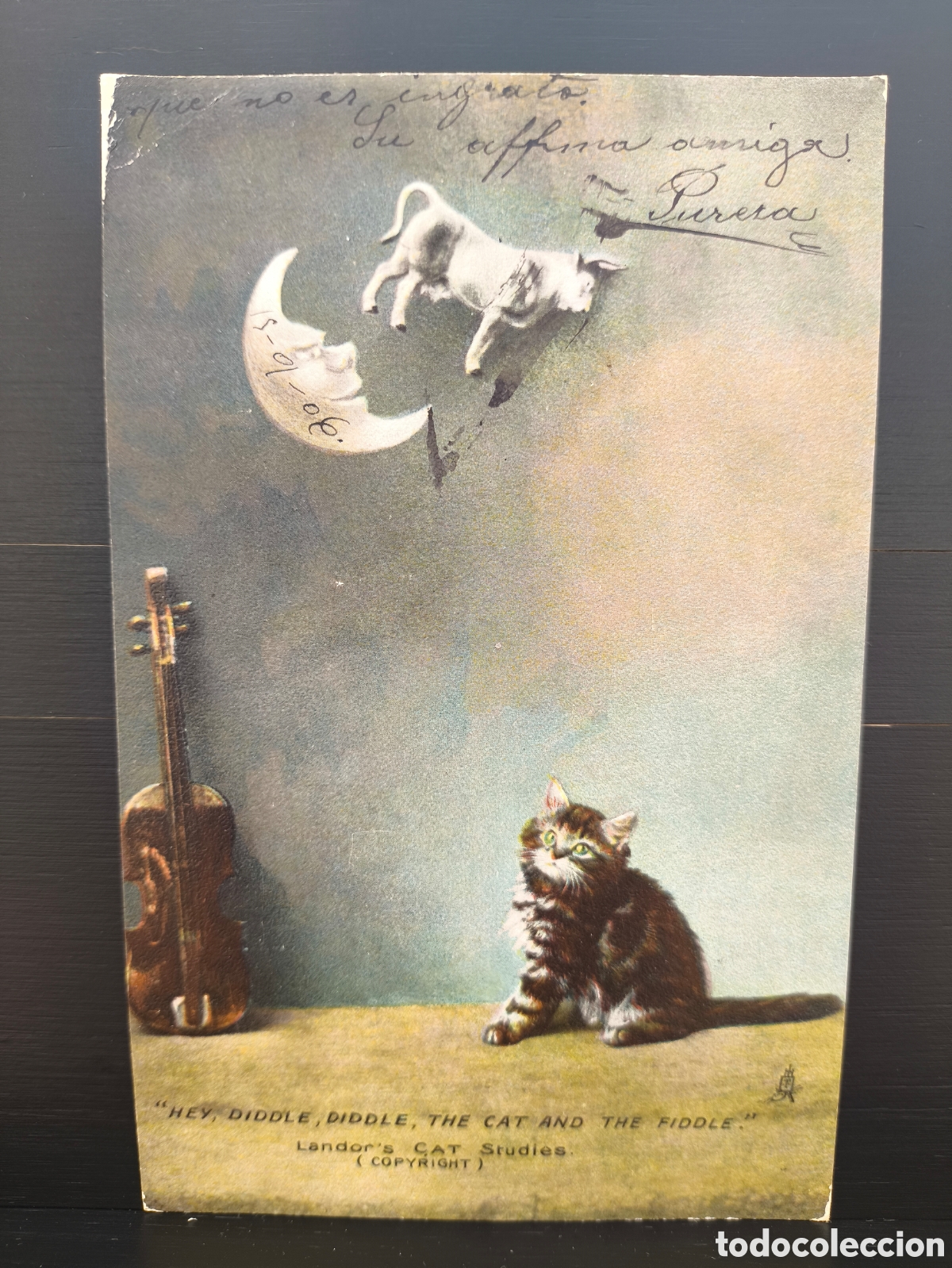 Cartoline: Antigua postal ilustrada dibujo Gato Cat Studies il. E. Landor Ed. Raphael Tuck & Sons 6496 1906