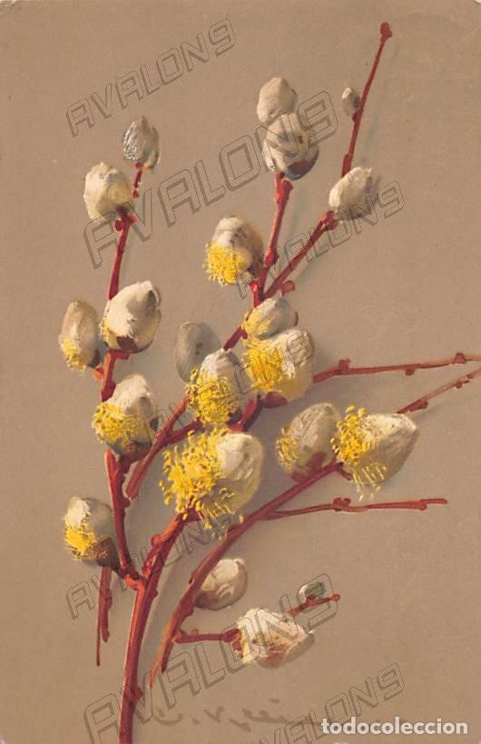Cartoline: Postal Belga de 1928 de unas flores - Circulada con sello
