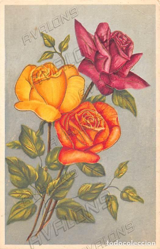 Cartoline: Postal con flores holandesa de 1959 - Escrita