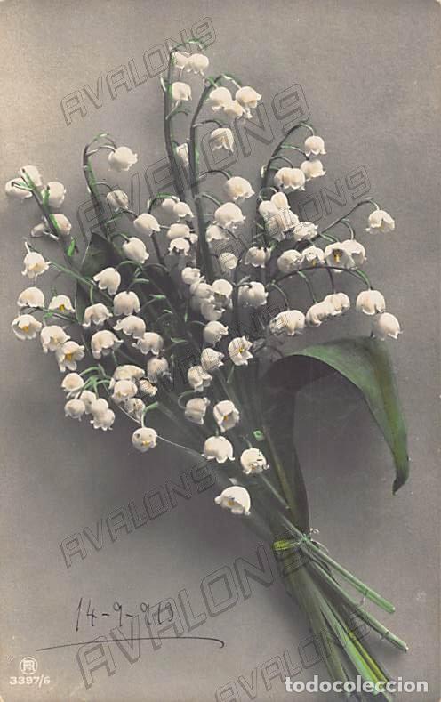 Cartoline: Postal Espa&ntilde;ola con unas flores - 1913 - Escrita