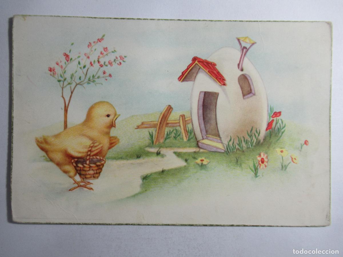 Postales: Postal pollito en el campo - Escrita