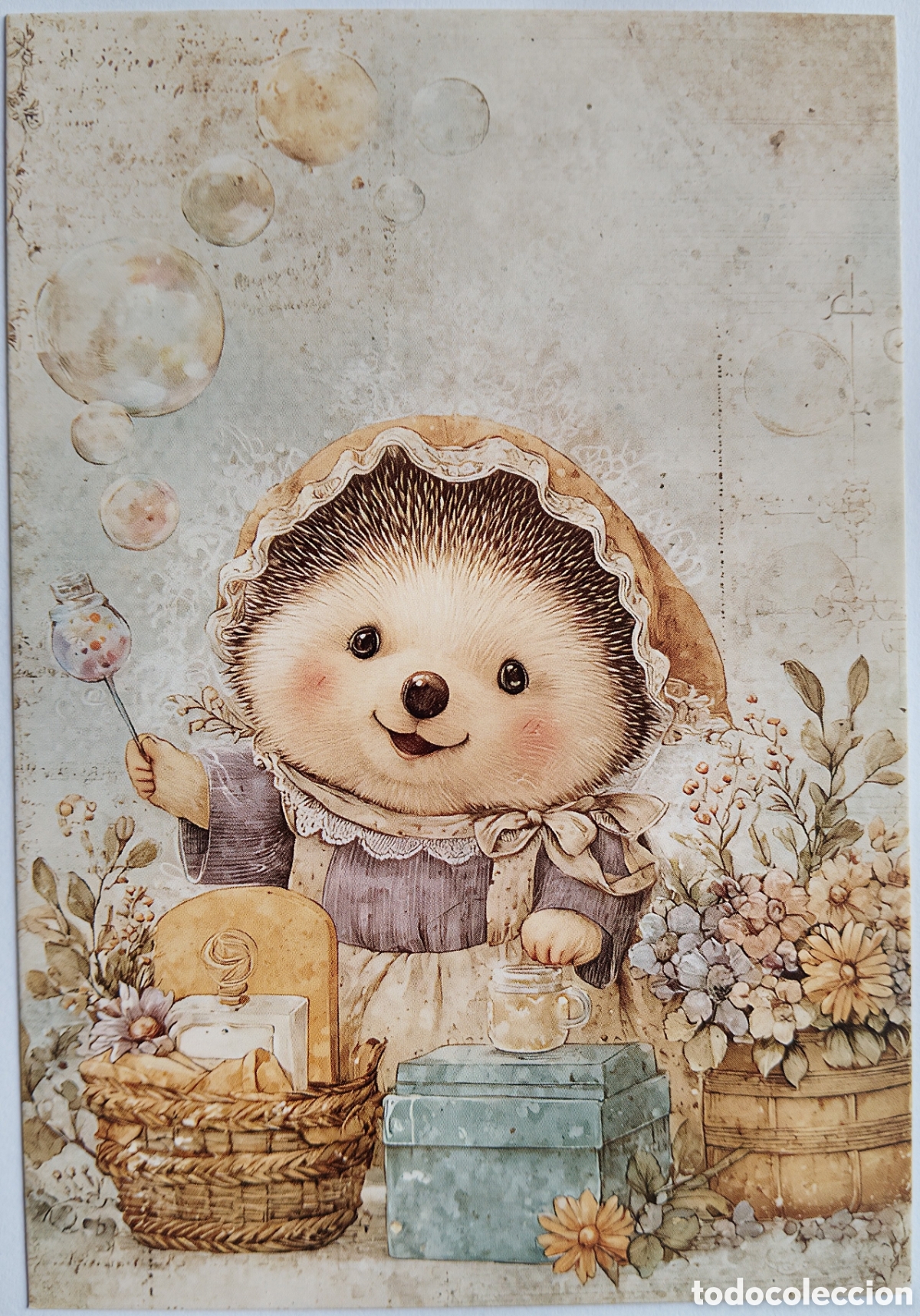 Postales: POSTAL - ERIZO COLADA BA&Ntilde;O