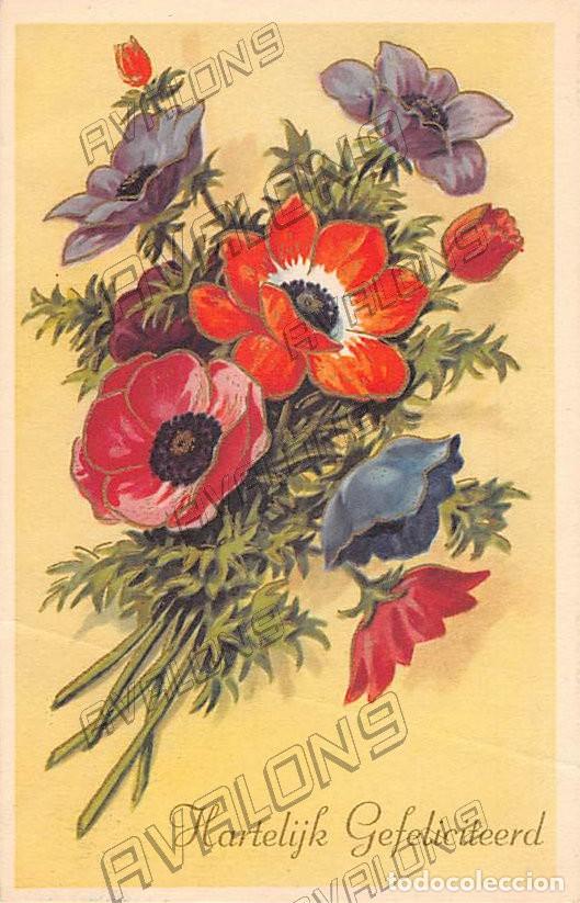 Postais: Postal Holandesa de &rdquo;Felicidades&rdquo; con unas flores - Circulada con sello 1958
