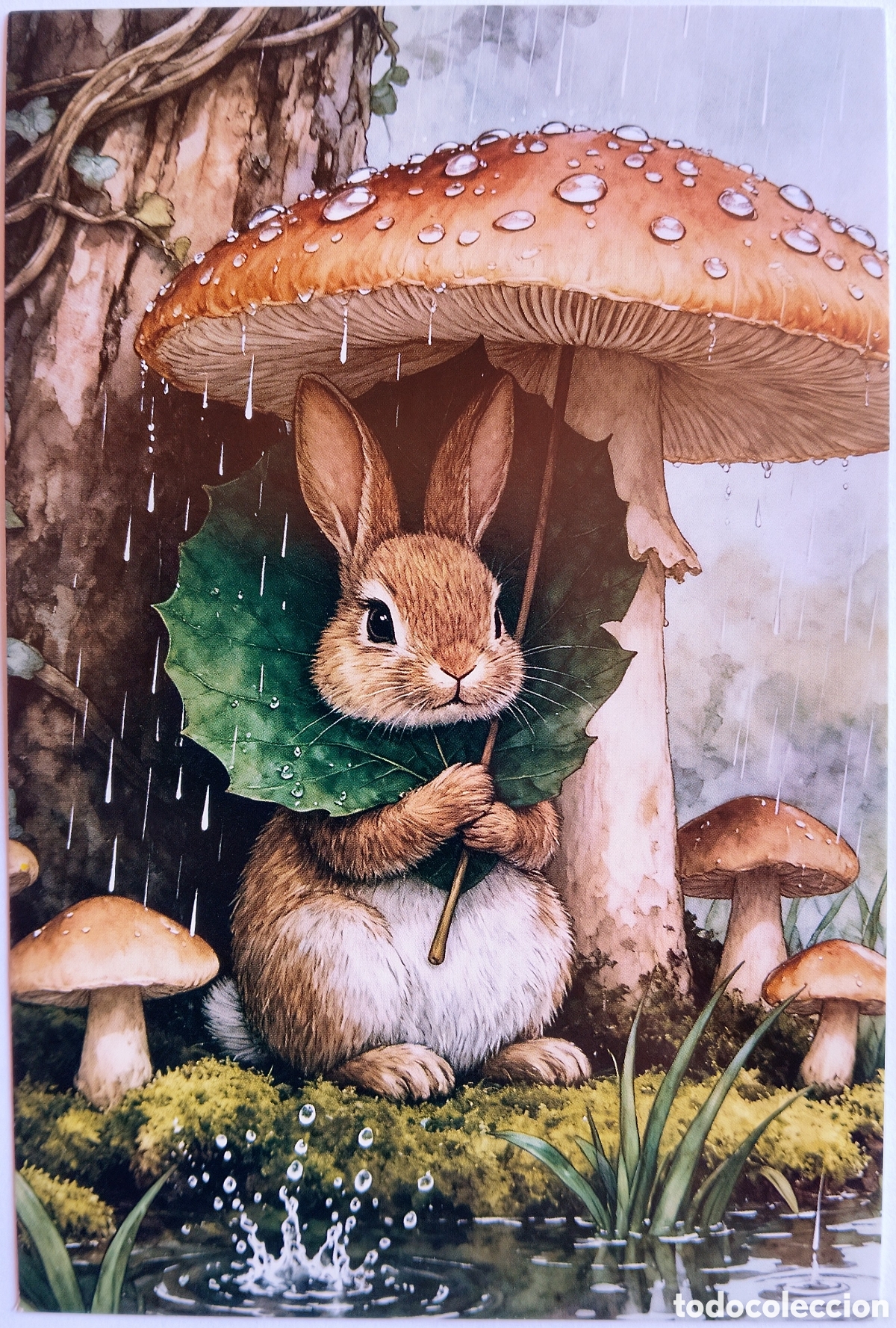 Postales: POSTAL - CONEJO PARAGUAS SETA