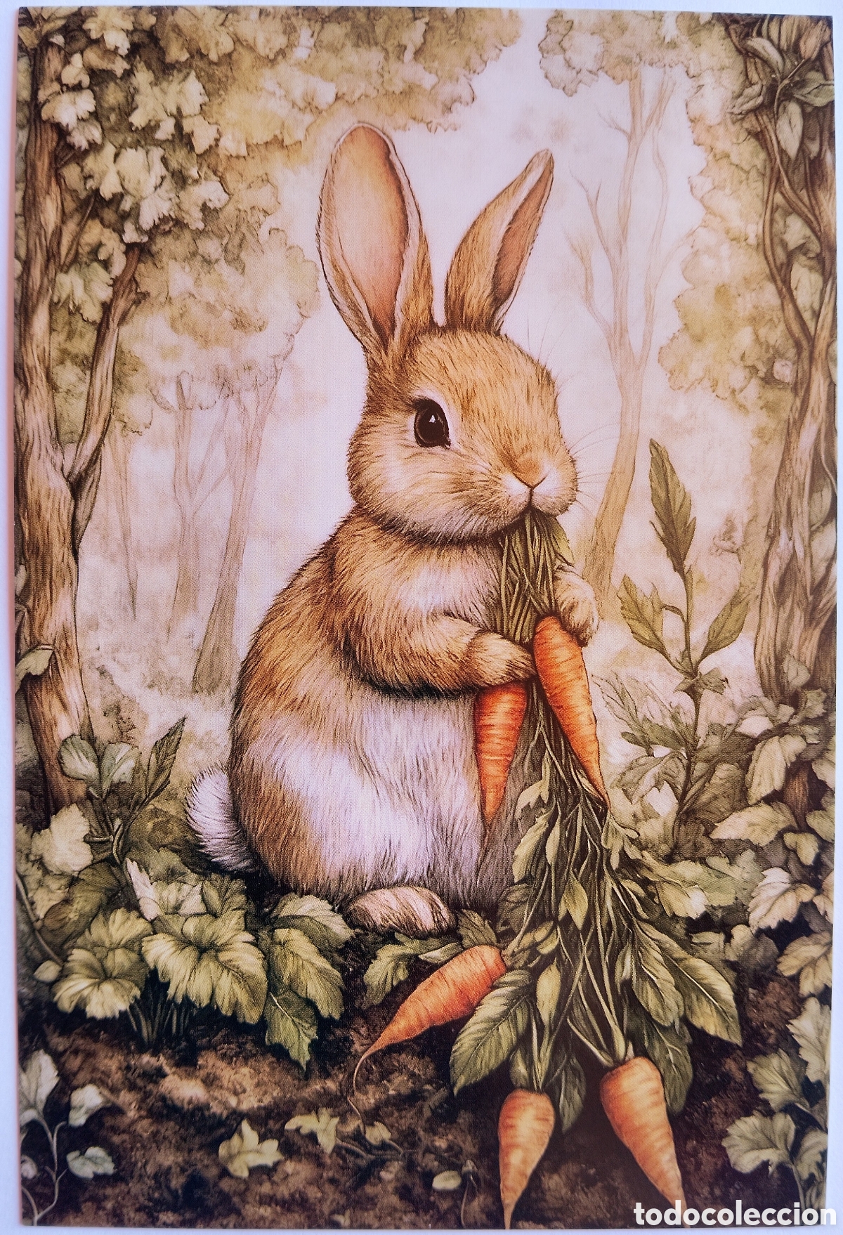 Postales: POSTAL - CONEJITO ZANAHORIAS