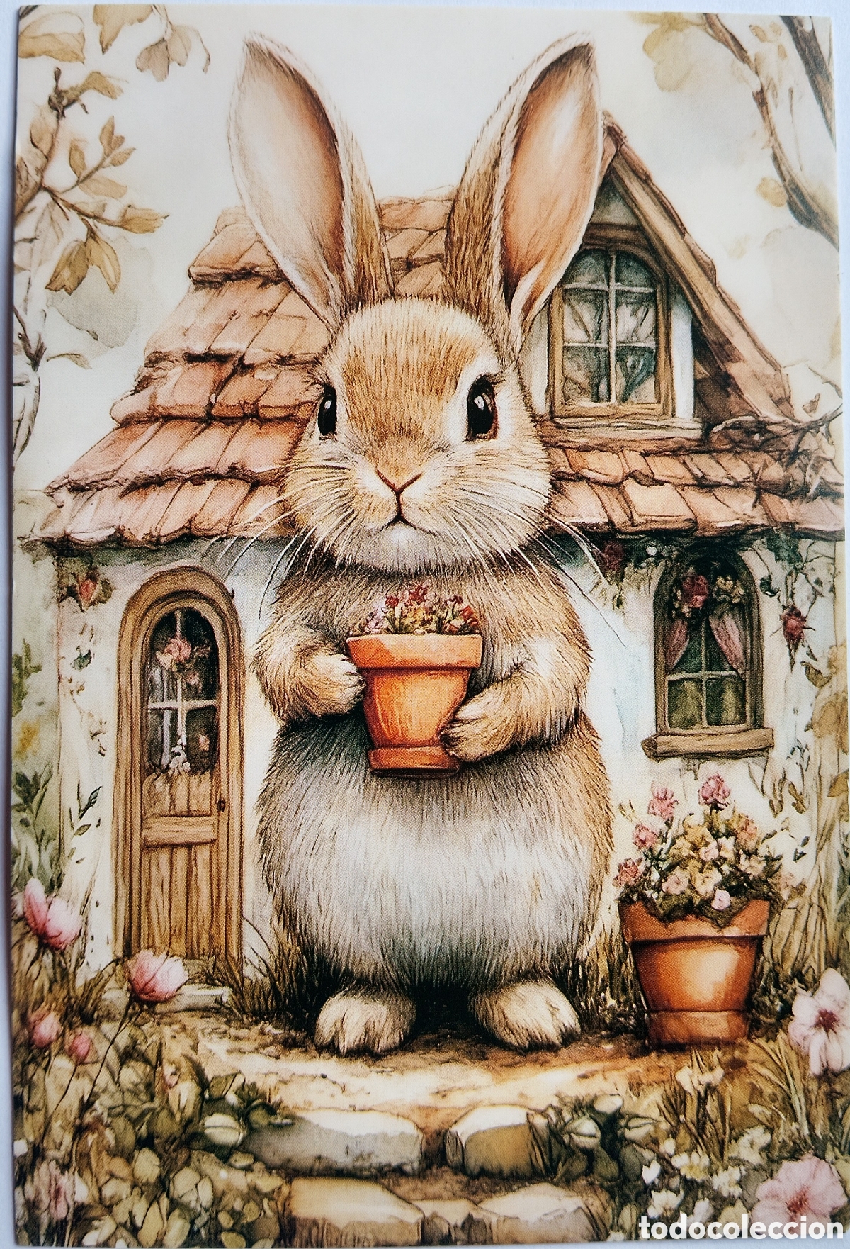 Postales: POSTAL - CONEJITO MACETA CASITA