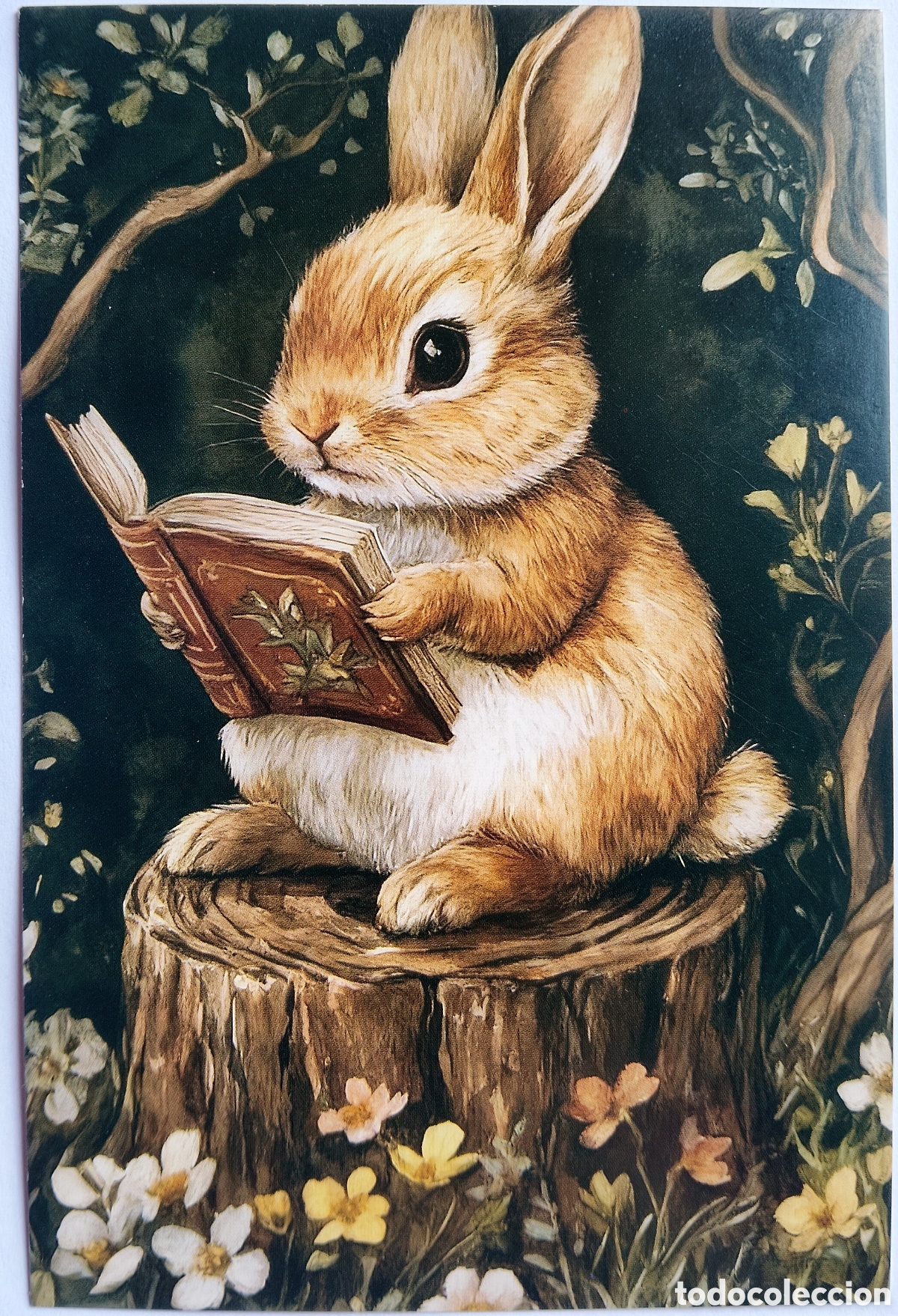 Postales: POSTAL - CONEJITO LEYENDO