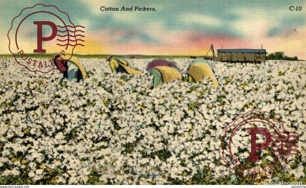 Postales: COTTON AND PICKERS afro americana coleccionblack