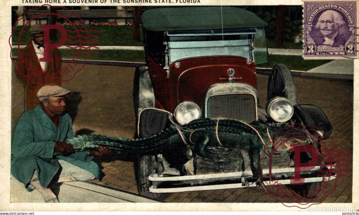 Postales: TAKING HOME SOUVENIR OF THE SUNSHINE STATE FLORIDA afro americana coleccionblack