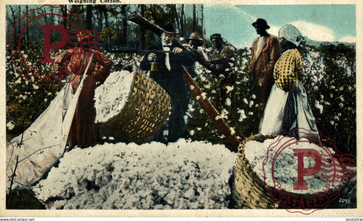 Postales: WEIGHING COTTON Black Americana afro americana coleccionblack