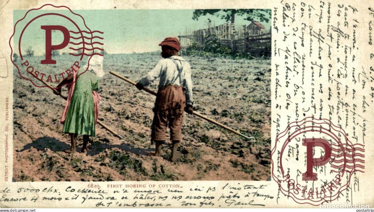Postales: VERY RARE FIRST HOEING OF COTTON Black Americana afro americana coleccionblack