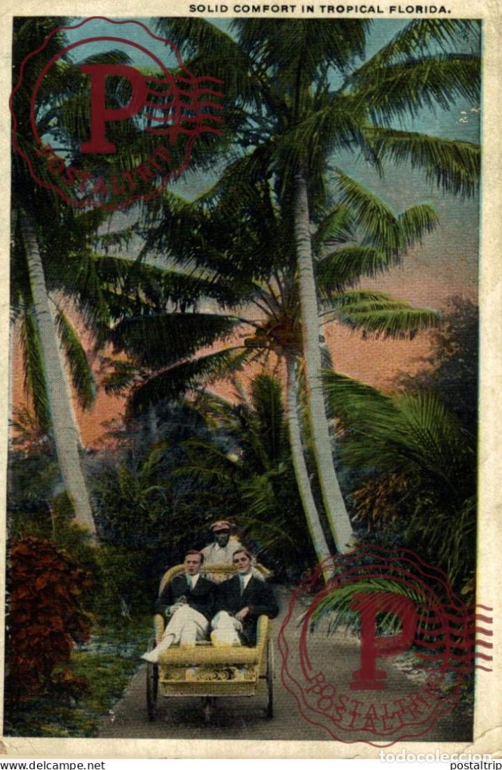 Postales: SOLID COMFORT FLORIDA afro americana coleccionblack