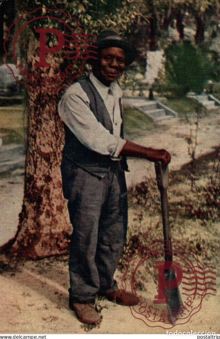 Postales: OLD BLACK JOE afro americana coleccionblack