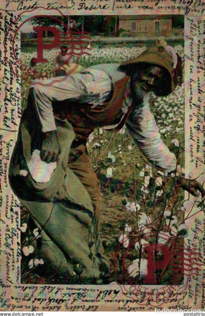 Postales: COTTON afro americana coleccionblack