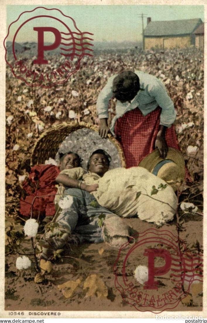 Postales: COTTON DISCOVERED afro americana coleccionblack