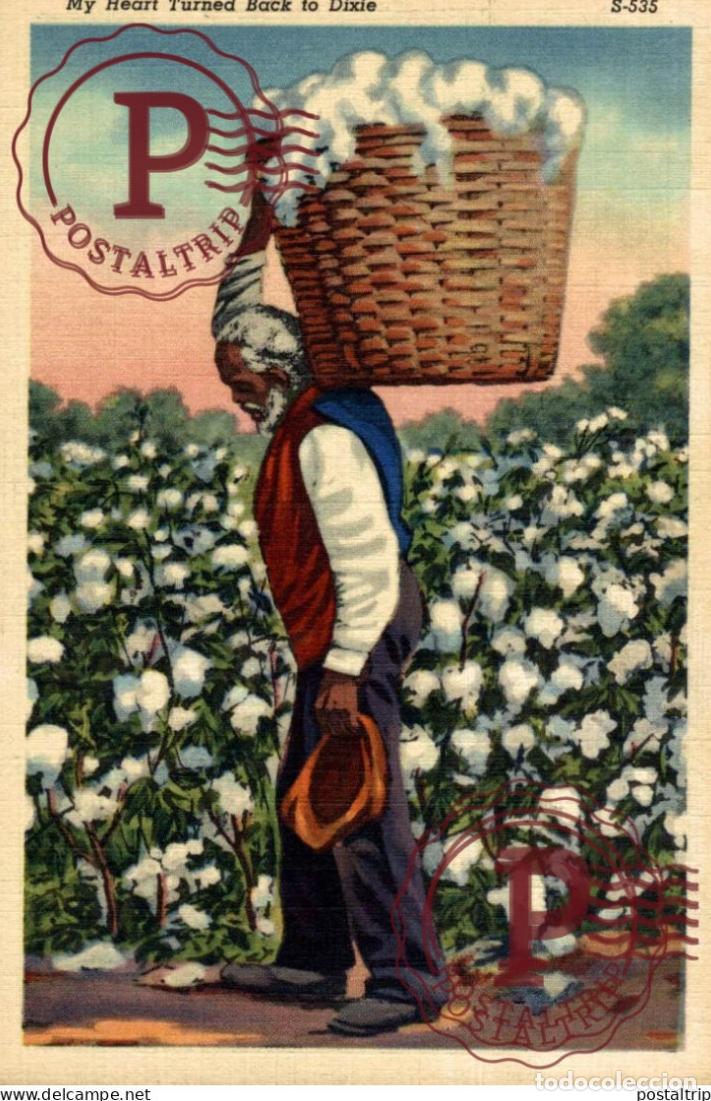 Postales: ETATS UNIS - MY HEART TURNED BACK TO DIXIE - HOMME NOIR - AGRICULTURE, RECOLTE DU COTON afro amer