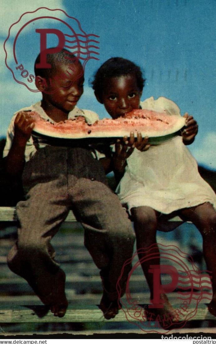 Postales: IT S WATERMELON TIME AGRICULTURE afro americana coleccionblack